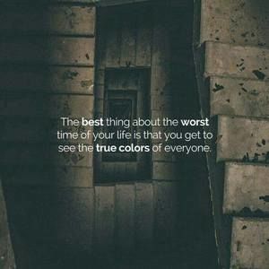 Meet your Posher, Tammy l